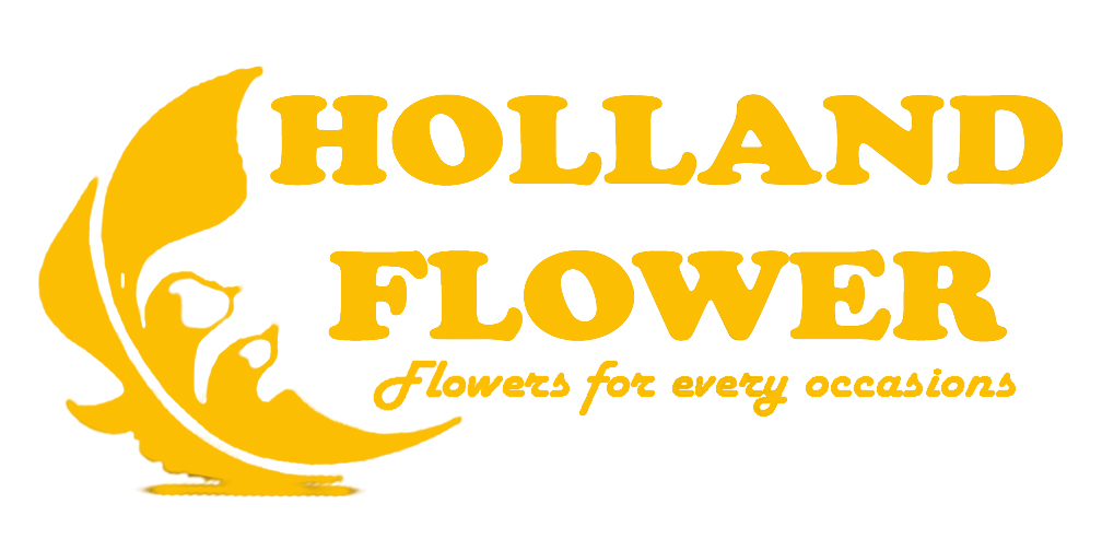 Holland Flower Kuwait
